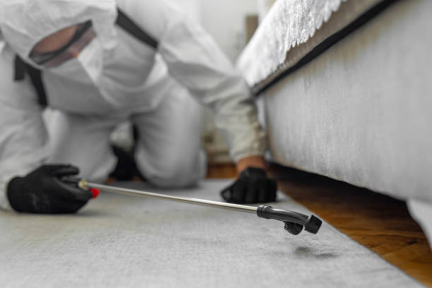 Professional Termite Control technician working in Munsons Corners, NY